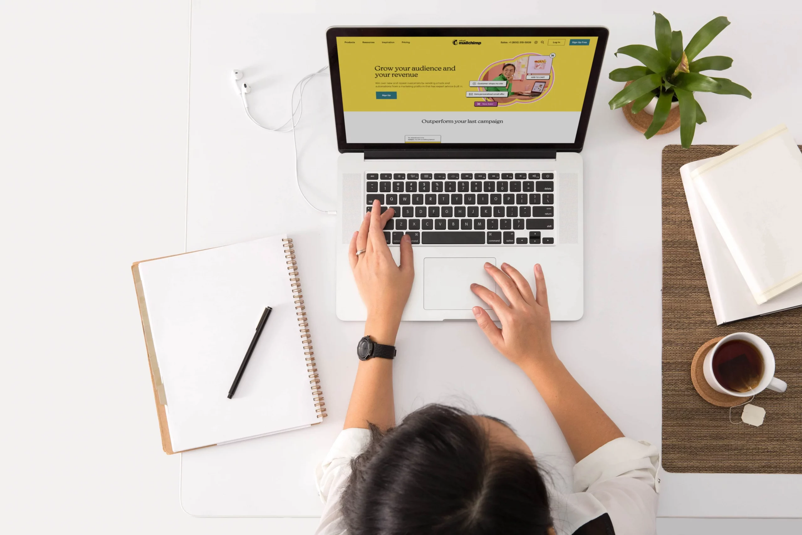 jesma agency -MailChimp